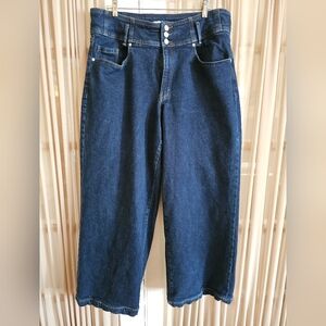 Lane Bryant High Rise Blue Jeans